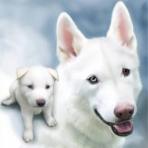 Meet your Posher, Barb